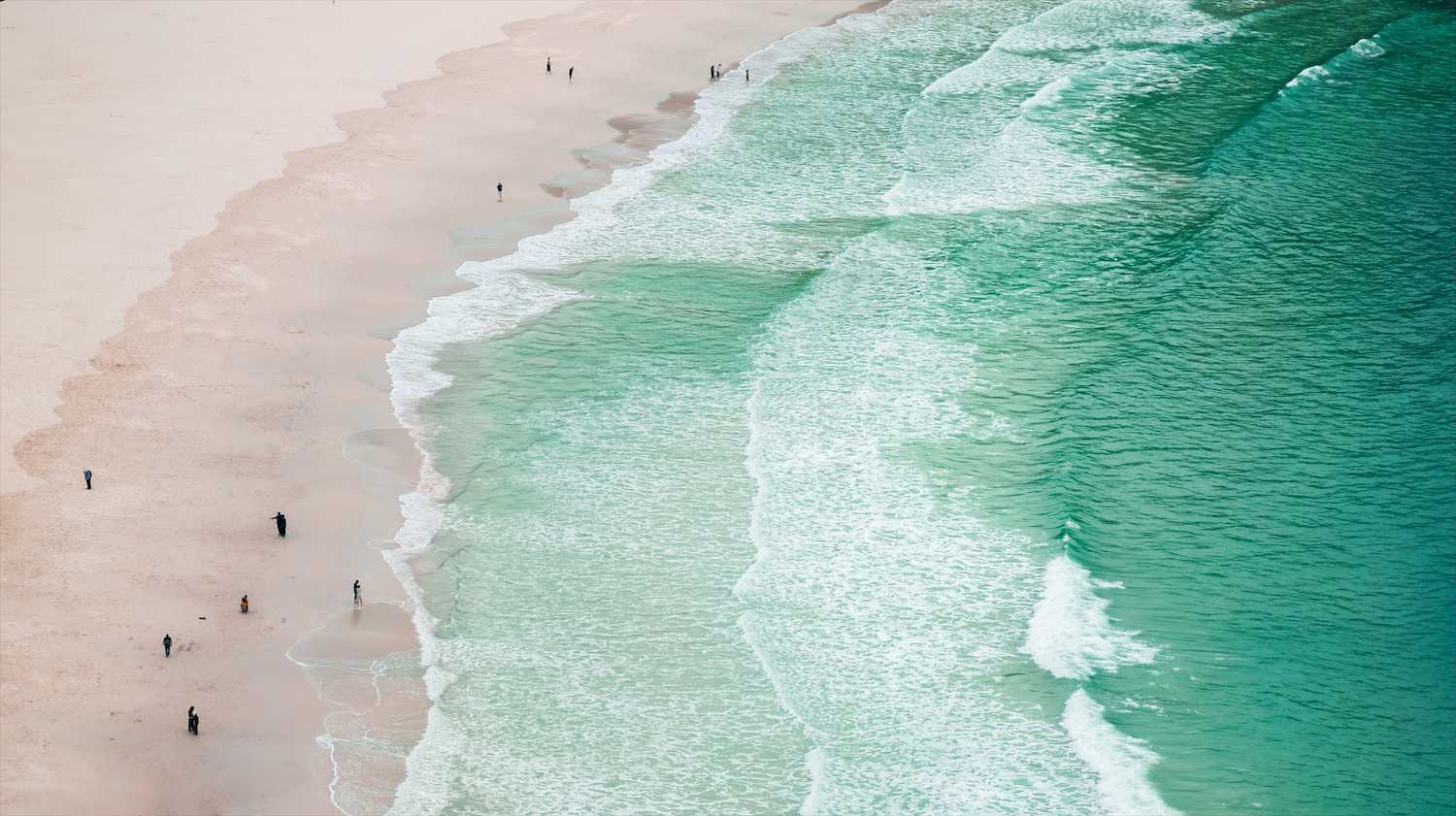 海