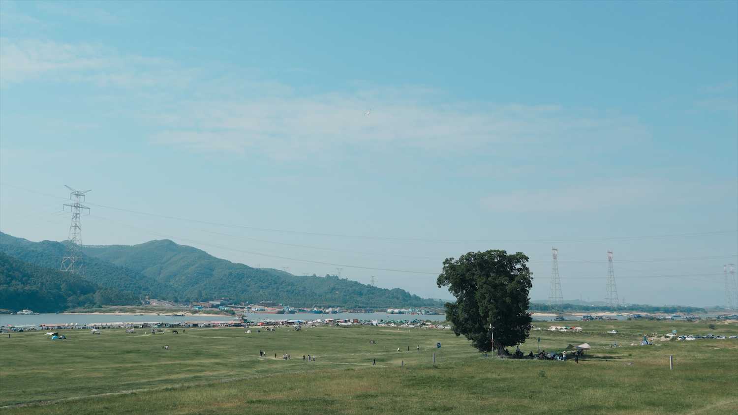 DSC05805