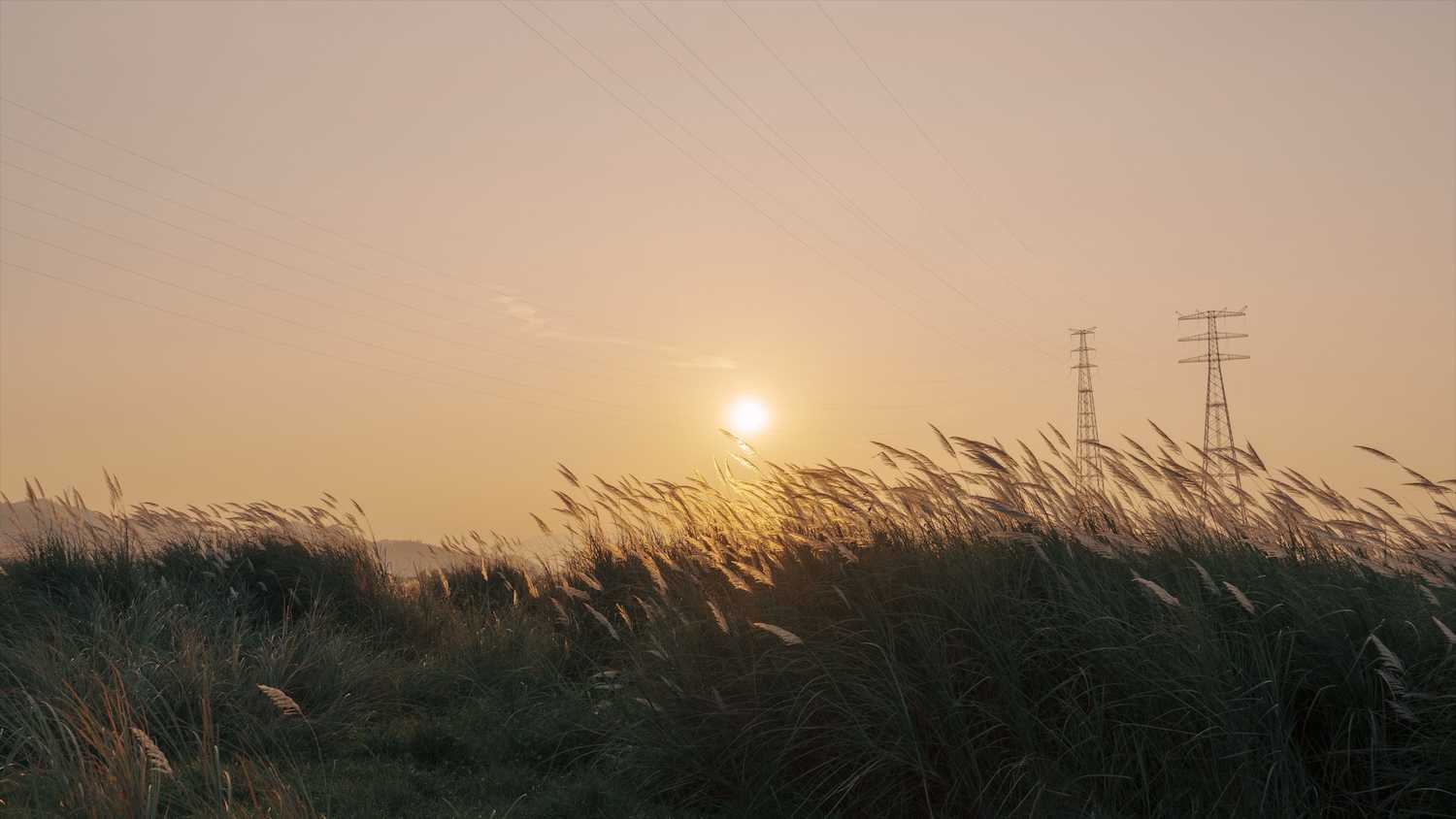 DSC06305